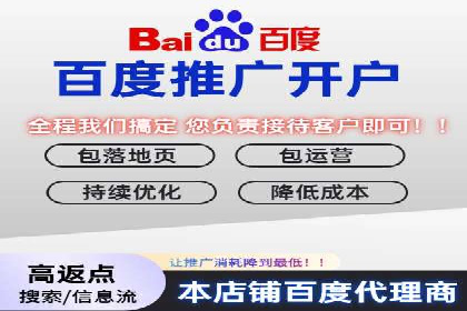 SEM服务公司助力电商增长案例